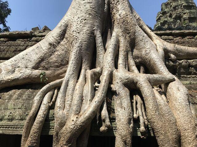 chrámový komplex Angkor Wat