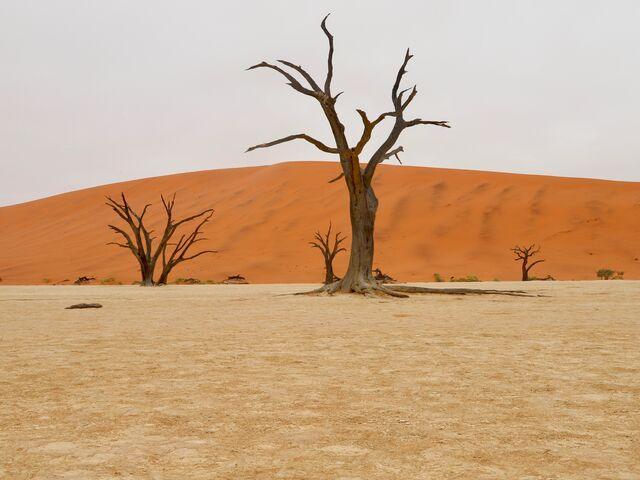 Národný park Namib-Naukluft