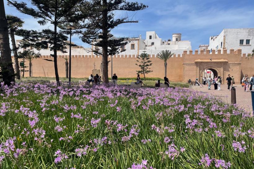 Zelený park s kvetmi pri vstupnej bráne do mesta Essaouira v Maroku.
