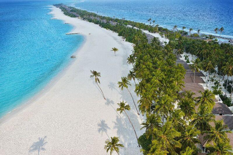 Maldivy