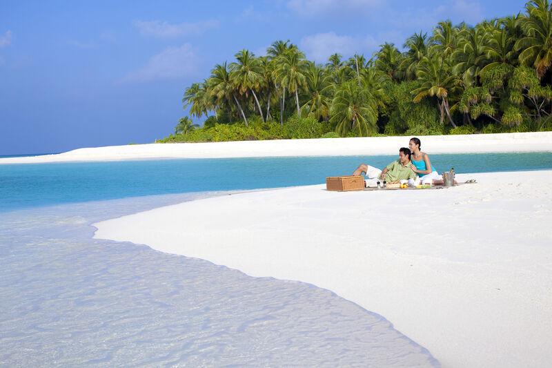 maldivy