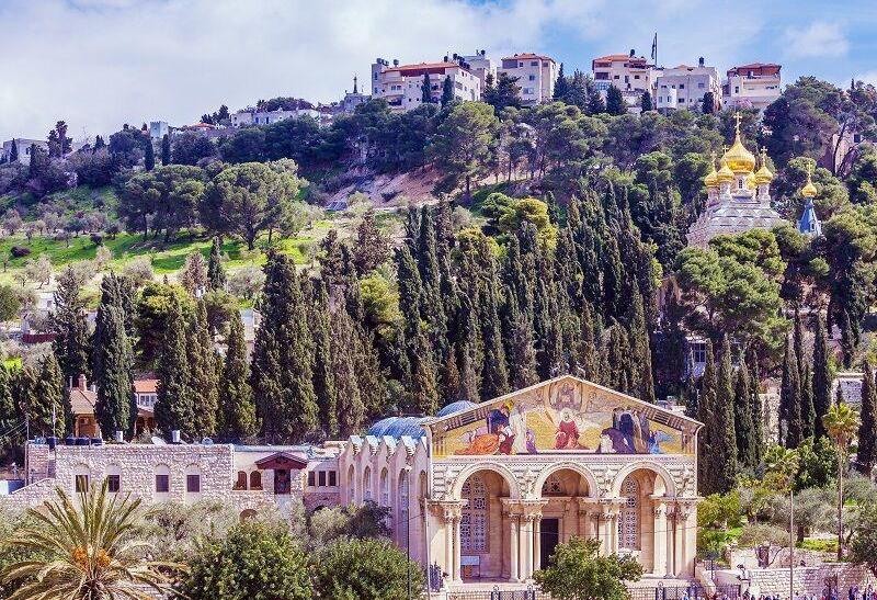 Getsemanská záhrada pod Olivovou horou