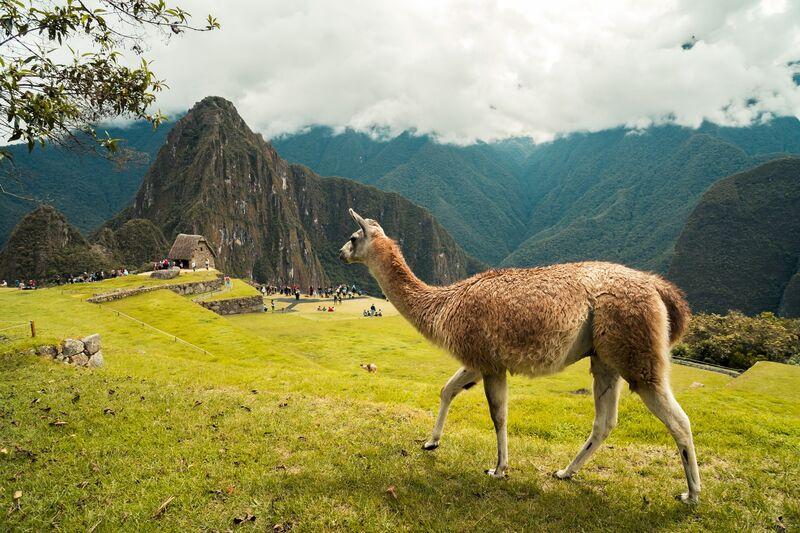 Machu Picchu