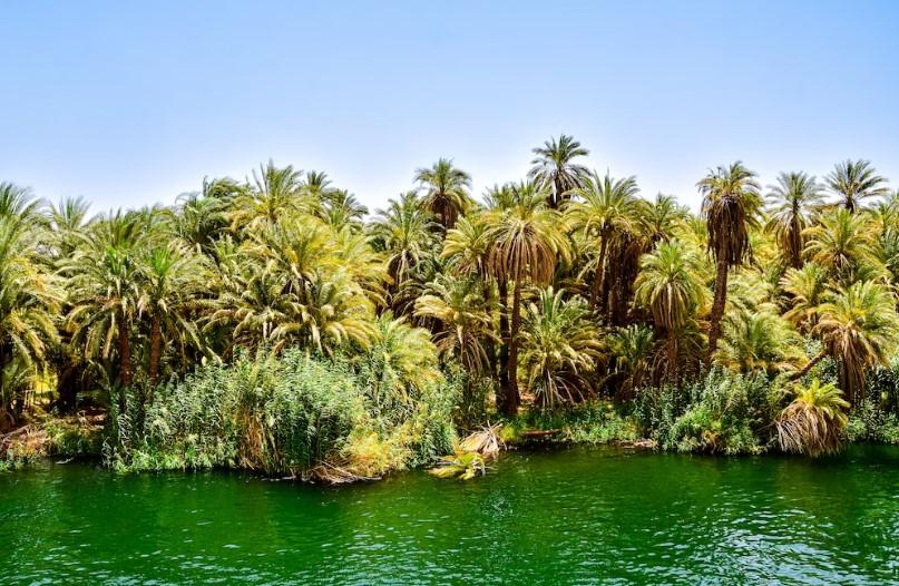 Úrodné brehy rieky Níl