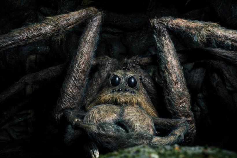 Aragog