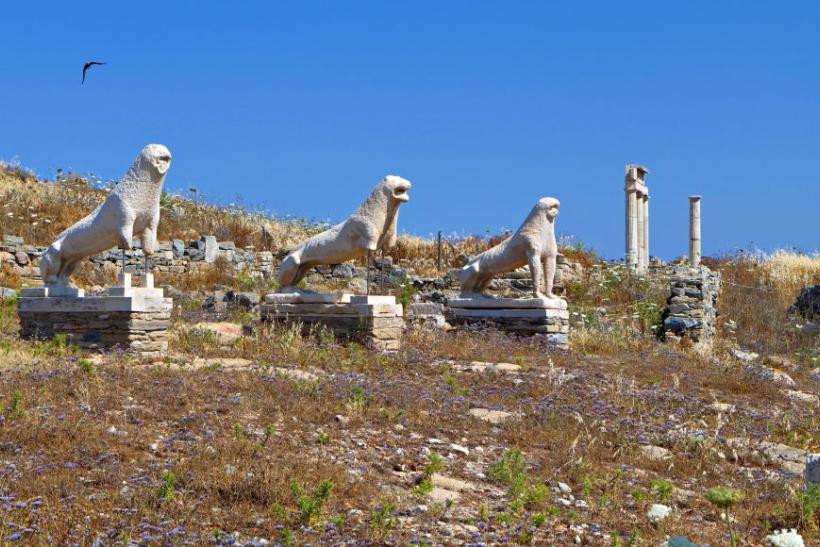 Terasa levov na ostrove Delos.