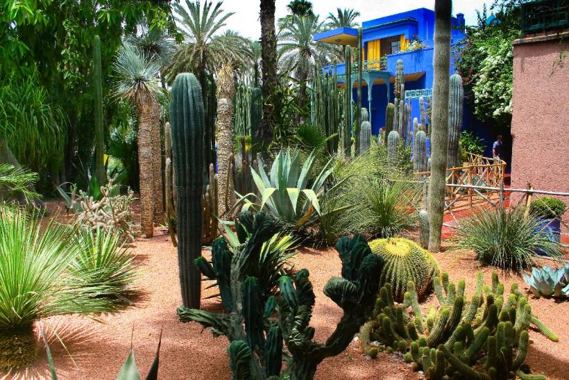 Záhrady Jardin Majorelle. Marrakéš
