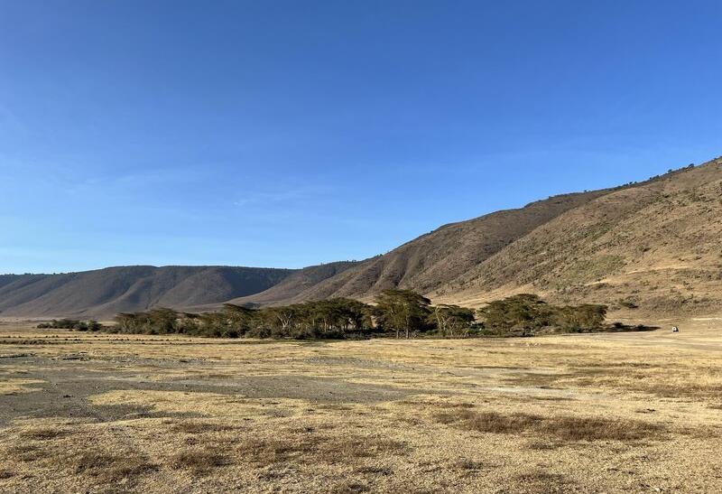 Ngorongoro