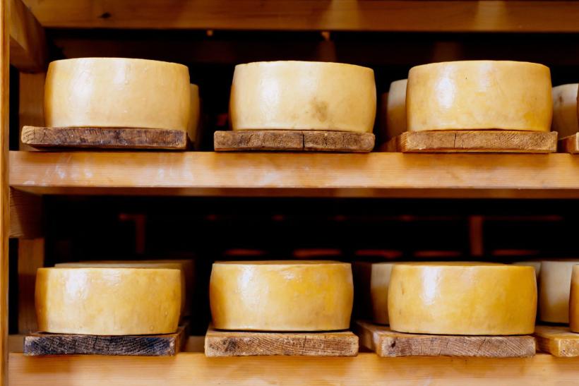 Slávny ovčí syr z os. Pag.