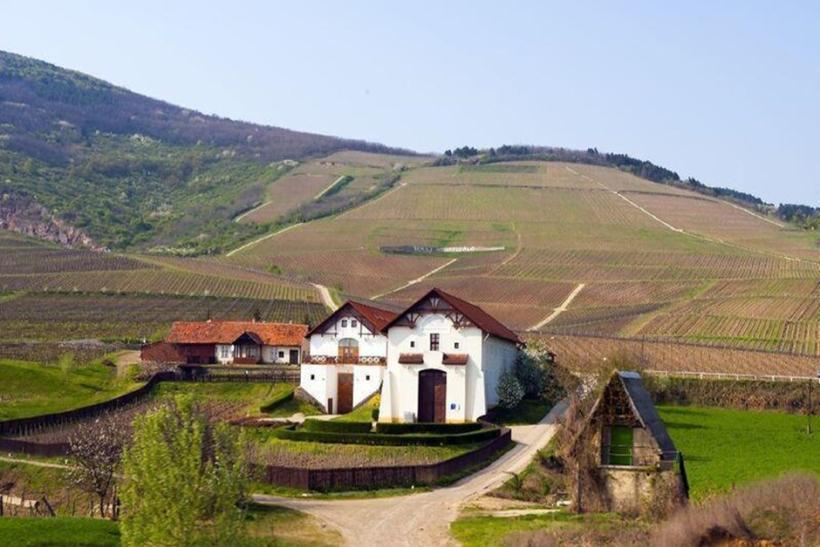 Tokaj