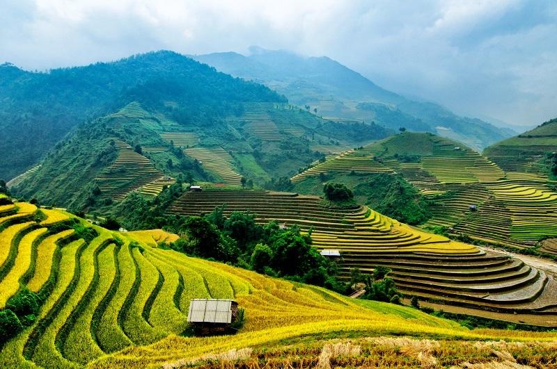 Ryžové terasy vo Vietname sú jedny z najkrajších vo svete. FOTO: depositphotos.com