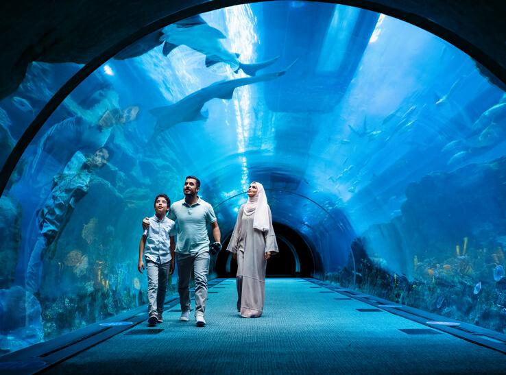 Dubai Aquarium, Dubaj