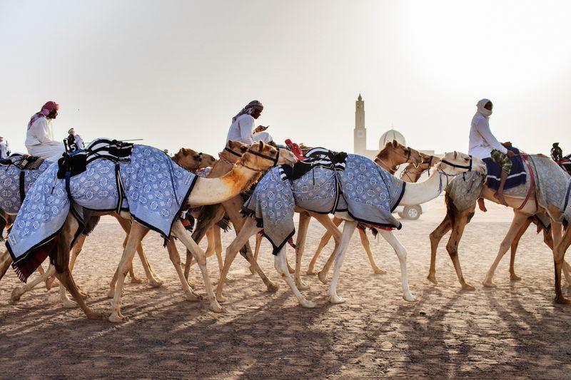 Jazda cez púšť, Spojené arabské emiráty