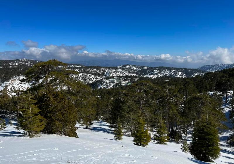 Pohorie Troodos so snehom na ostrove Cyprus.