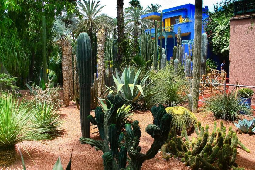 Jardin Majorelle, Marakéš