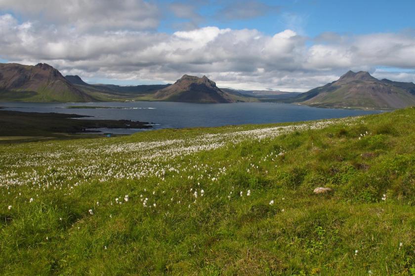 Hrútafjörður. Island