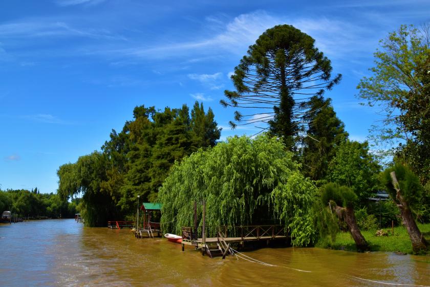 Tigre. Argentína