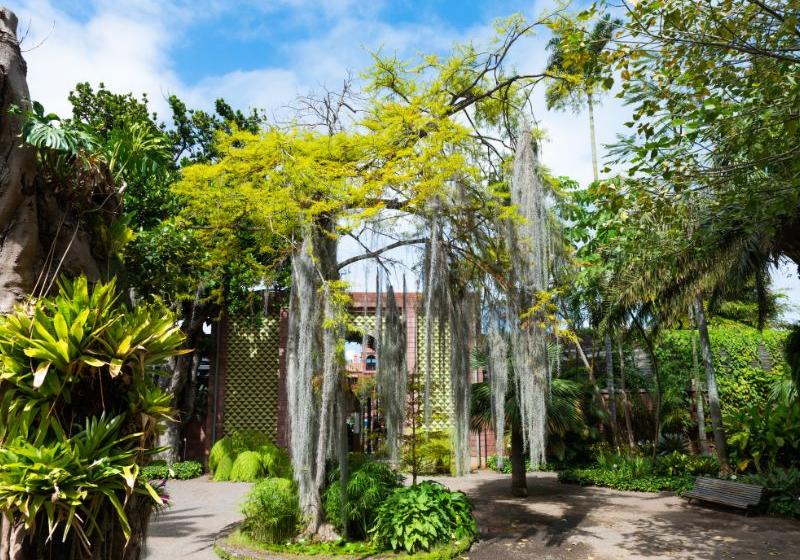 Botanická záhrada v Puerto de la Cruz