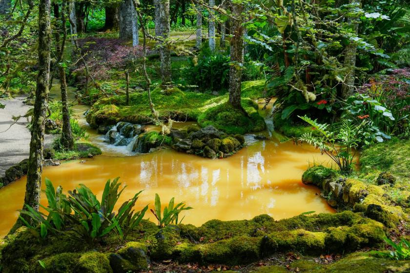 Botanická záhrada Terra Nostra, Azory