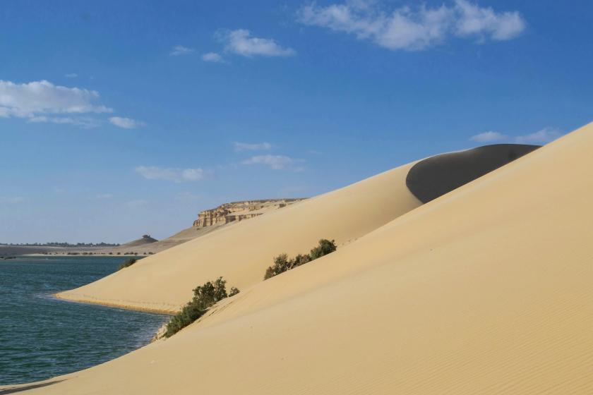 Oáza a jazero vo Fayoum v Egypte.