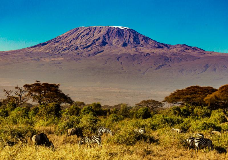 Národný park Amboseli, pasúce sa zebry a hora Kilimandžáro. Keňa. Foto: unsplash.com