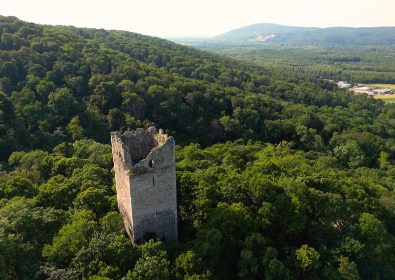Zelené kopce Burngenlandu s hradnou vežou. Rakúsko