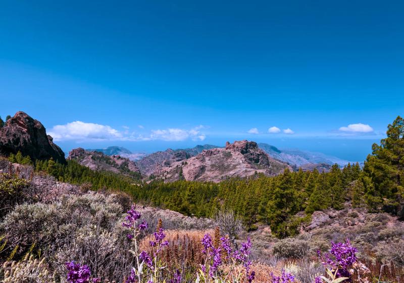 Centrum ostrova Grand Canaria, Kanárske ostrovy. Foto: unsplash.com