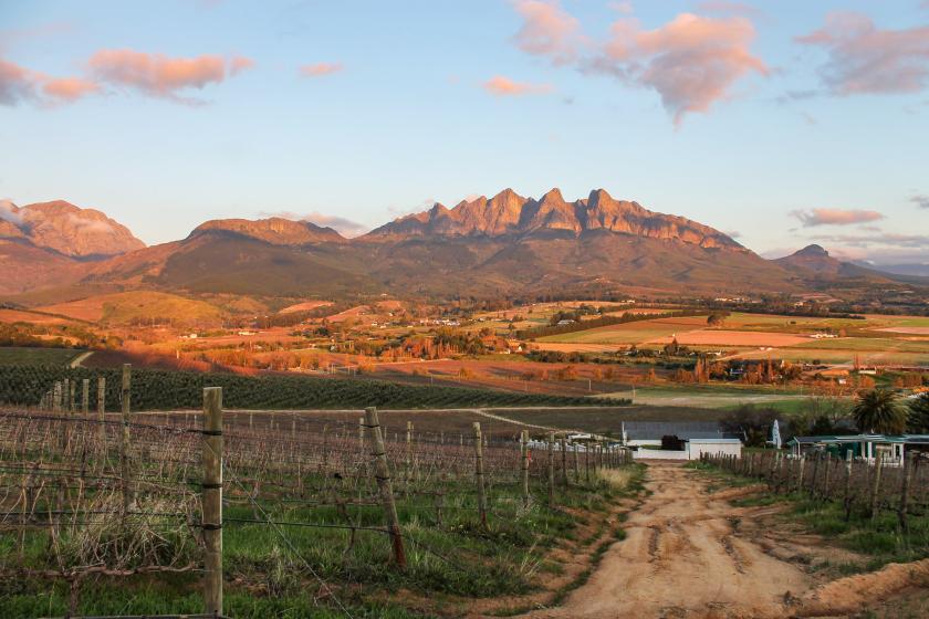 Stellenbosch