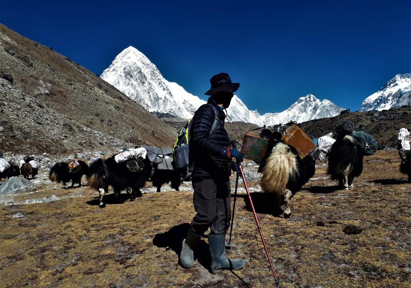 Šerpa a zvieratá nosiace náklad v Himalájach v Lobuche. Nepál. Foto: unsplash.com