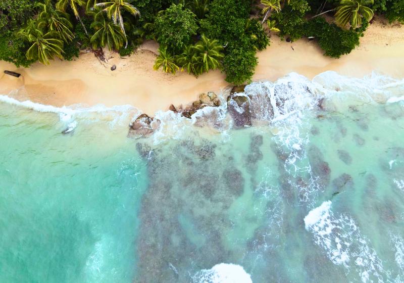 Piesková pláž a blankytné more, zelené palmy v Puerto Viejo. Kostarika. Foto: unsplash.com