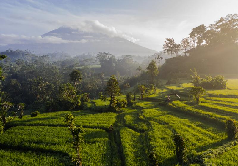 Hora Agung v pozadí, pri východe slnka a zelené políčka. Bali. Foto: unsplash.com