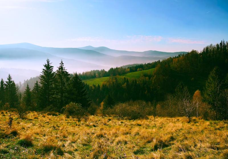 Trávnatá lúka, kopce a stromy v kontraste s modrým nebom v Beskydách. Česko.