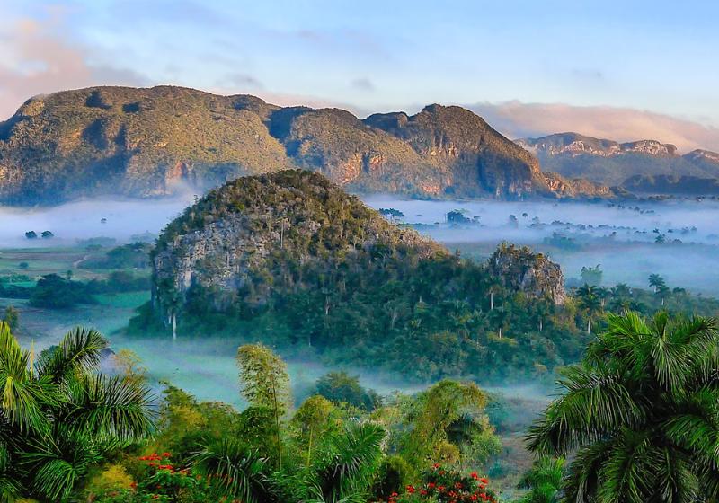 Zelené Vinales s palmami, a kopcovitými útvarmi. Kuba. Foto: unsplash.com