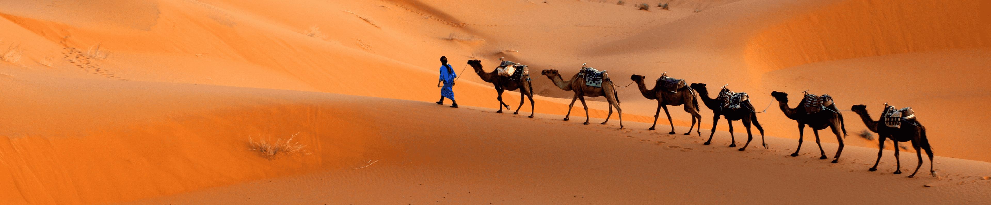 Last minute poznávacie zájazdy na Srí Lanke