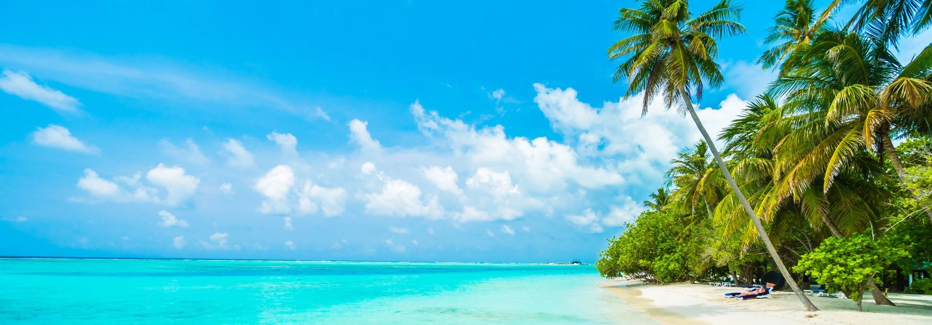 Firemný a VIP servis