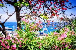 Madeira, Portugalsko