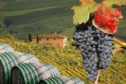 Ochutnávka známeho vína Rossese, Taliansko