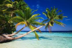 Dhiffushi, Maledivy