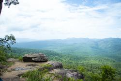 Národný park Kirirom vo Vietname.