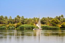Felucca na rieke Níl. Egypt. 
