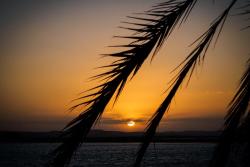 Západ slnka nad ostrovom Fatnas. Siwa. Egypt.