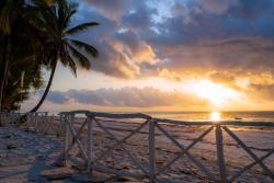Pláž Diani Beach v Keni. Foto: unsplash.com
