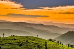 Zelené svahy a oranžové nebo v časti Munnar, India