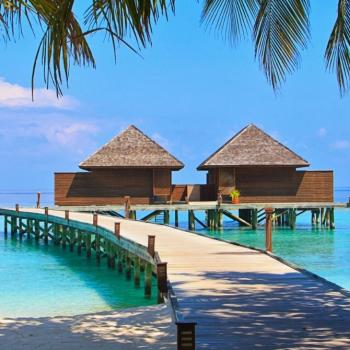 Maldivy
