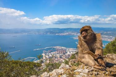 Fakultatívny výlet na Gibraltár, Španielsko