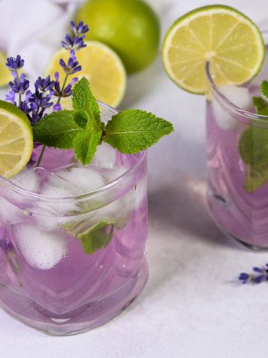 Litovel a levanduľový festival