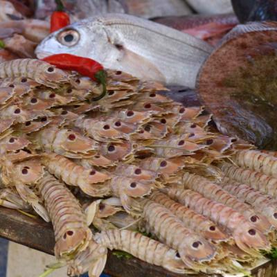 Morské plody a ryby ulovené v Essaouire.