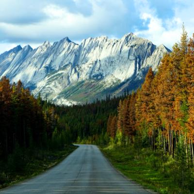 Scénická cesta medzi stromami a vysokými horskými masívmi v pozadí.