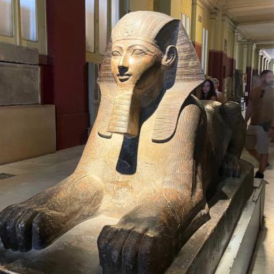 Sfinga Hatešpsut v múzeu v Káhire.