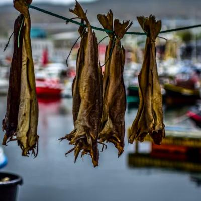 Sušené ryby na šnúrke.